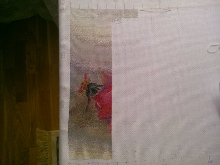 Мои французские розы №95242