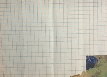 Букет ирисов №95358