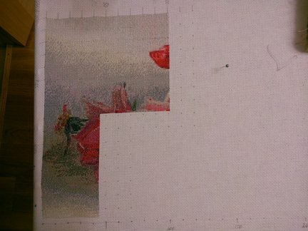 Мои французские розы №96207