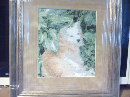 ЗверьЁ моЁ и не только №96946