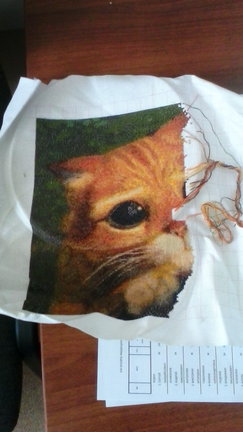 Процесс «Зеленая деревенька» №97900