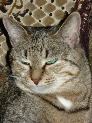 Откликнитесь, рукодельницы №97999