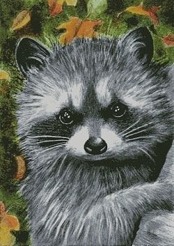 От дебюта и до ГК №98809