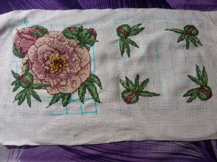 Бискорню Фаби Райли №98937