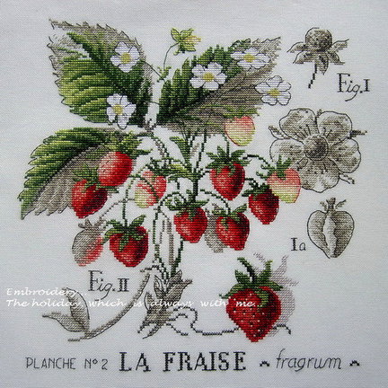 «Ботанические этюды» от Veronique Enginger №100114