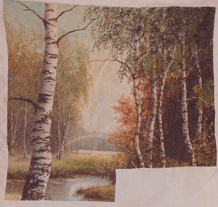 Березовая роща №101064