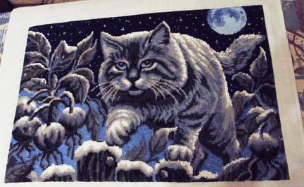 Мой вышивальный дневник №101319