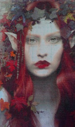 Осенняя гармония от HAED №101522