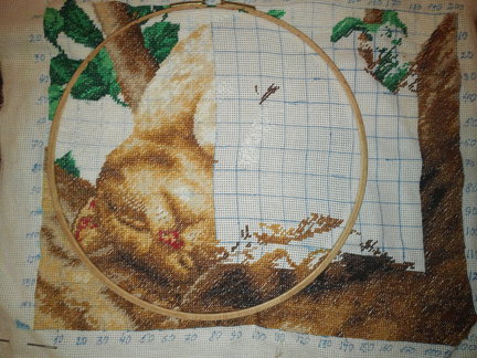 Котик от «РС студии» №102132