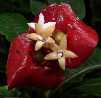 Забавное в дикой природе. Улыбнитесь! №103018