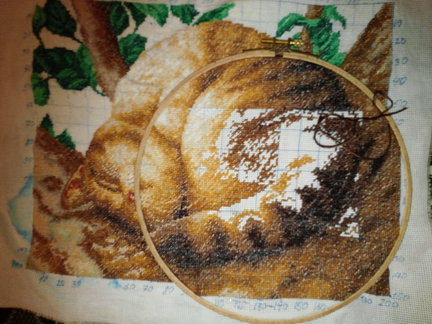 Котик от «РС студии» №103893