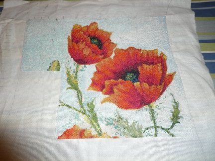 Маки в подарок №104171