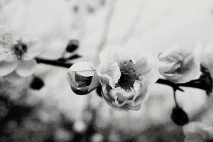 Помогите с созданием схемы №106416