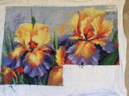 Ирисы (моя первая вышивка с сайта) №107561