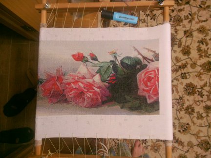 Мои французские розы №110772