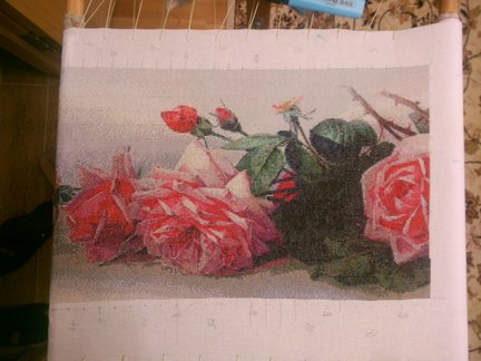 Мои французские розы №110773