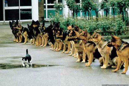 О вкусах не спорят... или мысли вслух №111217