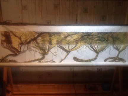 От дебюта и до ГК №111726