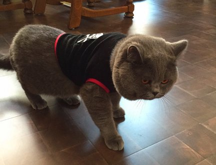 Мои процессы №112358