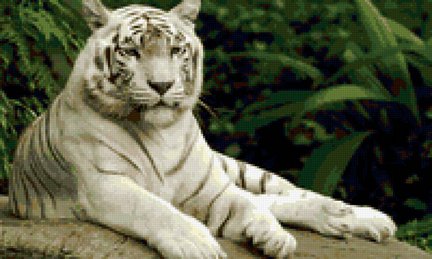 Вопрос по схемам №114054