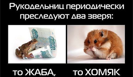 ЗверьЁ моЁ и не только №114143