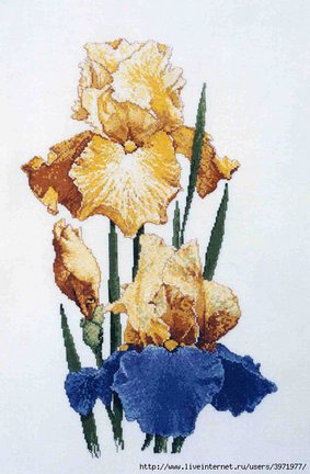 I love cross stitch №114210