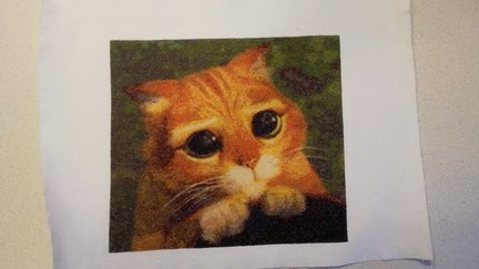 Процесс «Зеленая деревенька» №115927