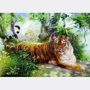 Китайский набор «Тигр на отдыхе» №116685