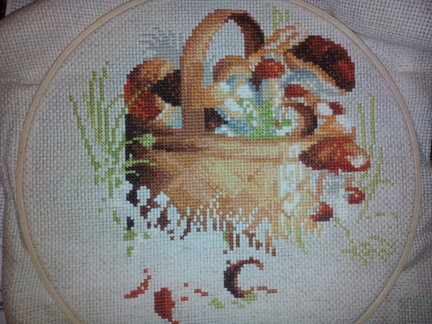 ЗверьЁ моЁ и не только №118261