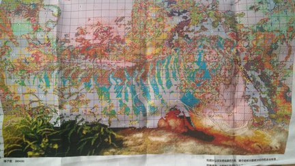 Китайский набор «Тигр на отдыхе» №120093