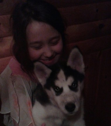 Наши домашние любимчики №120271