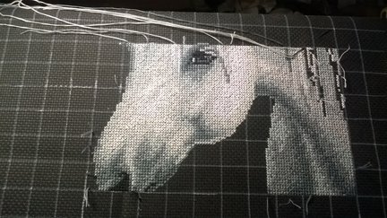 Белые кони №120489