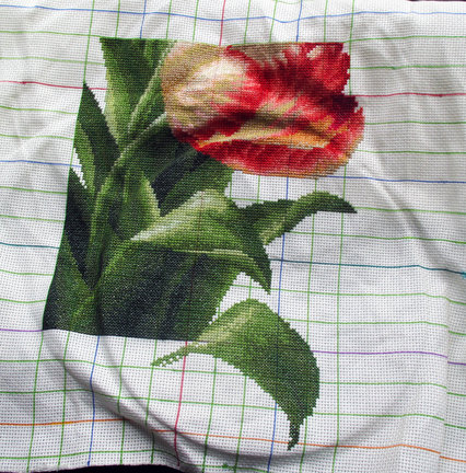 Розы и Тюльпаны №121155