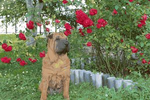 Создание схемы в Stitch Art Easy! 4.0. Пошаговая инструкция. №121847