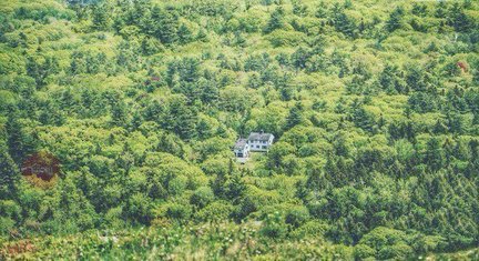 Весёлые картинки №122029