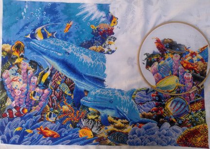 Совместник в контакте «Дельфины» №122133