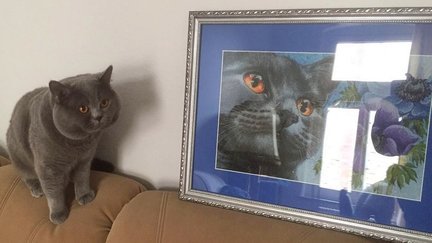 Мои процессы №122236