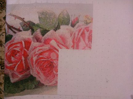 Мои французские розы №122705