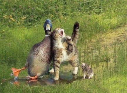 Весёлые картинки №123025