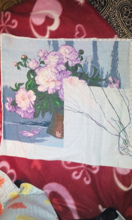 Мой процесс «Ирисы» и др. №123585