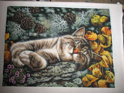 Мои процессы (Кошечка от ХАЕД и другие) №123595