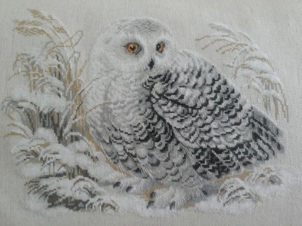 Делюсь схемами «Riolis» дубль №1 №124183