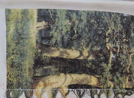 ГК 1302 «Дубовая роща» №124313