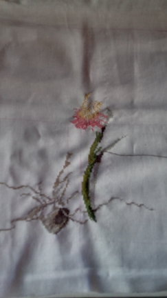 Орхидея ботаника №124377