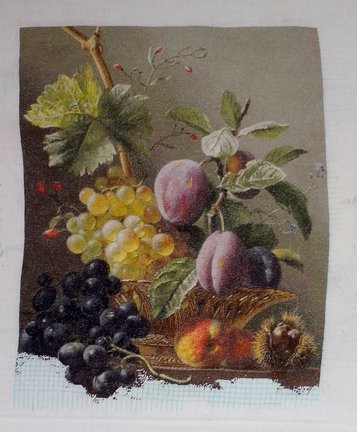 Сливы, фрукты и каштан №125046