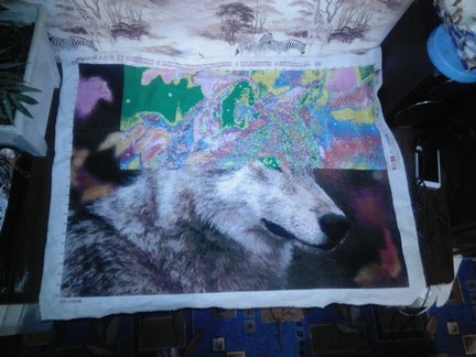 Волчонок №125049