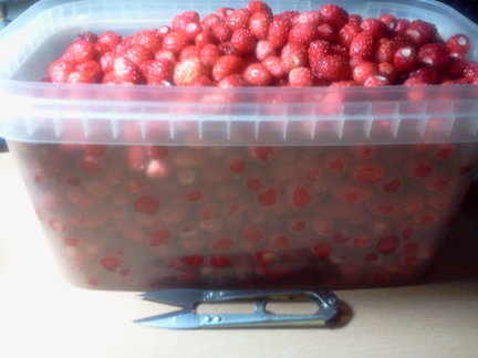 Как я провел этим летом №126796