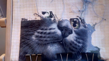 Кошечка Гармашовой №127105