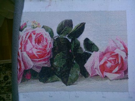 Мои французские розы №127386