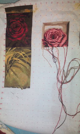 Мой процесс «Ирисы» и др. №129060